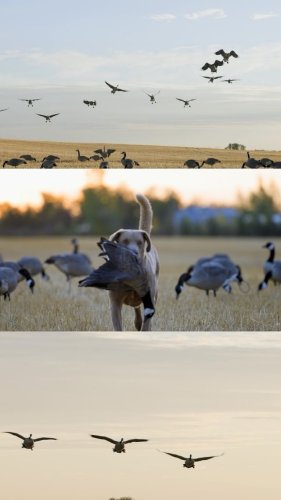 Video post from northernskiesoutfitters.