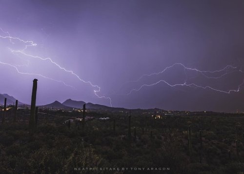 Carousel post from visittucson.