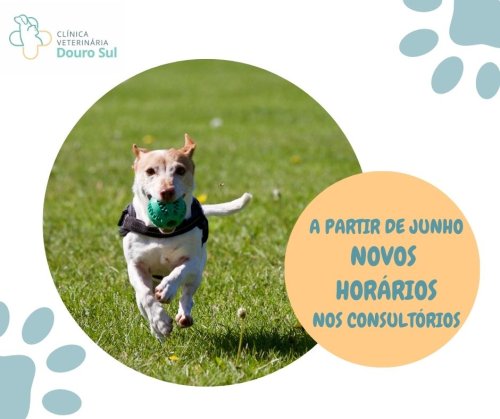 Carousel post from clinica_veterinaria_dourosul.