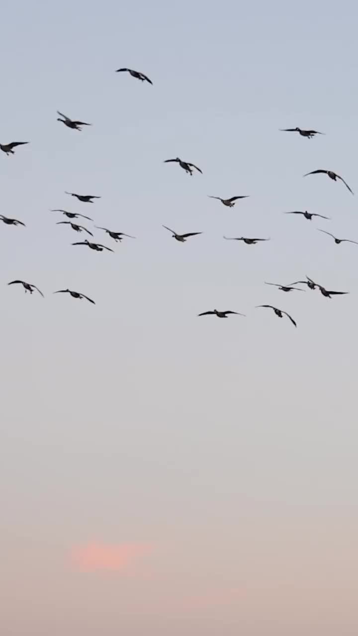 Video post from northernskiesoutfitters.