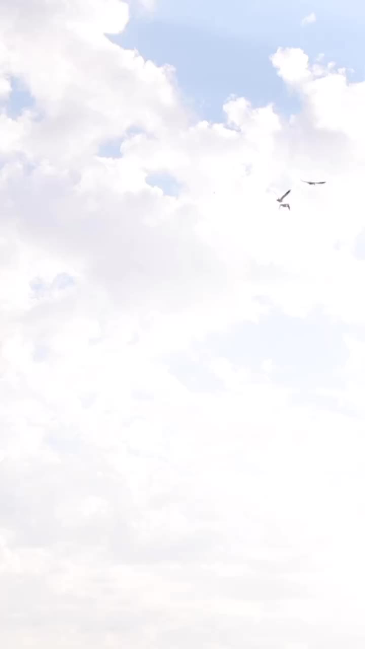 Video post from northernskiesoutfitters.