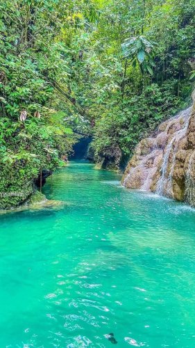 Video post from thingstodoinjamaica.