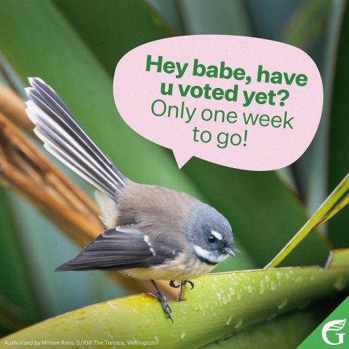 Photo post from nzgreenparty.