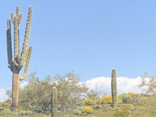 Carousel post from annelizabethjewelry.