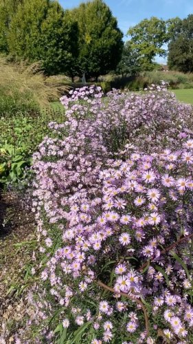 Video post from sussexprairies.