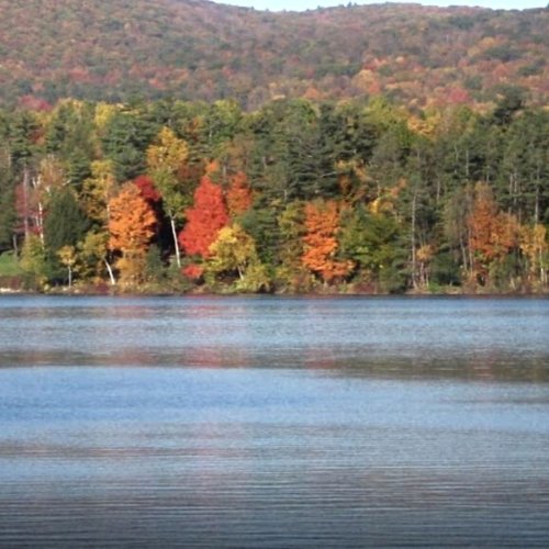 Photo post from hotelonnorth.