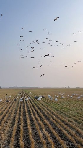 Video post from northernskiesoutfitters.