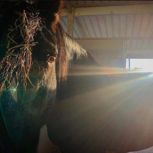 Photo post from __amber_lydic__.