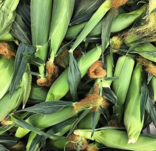 Photo post from visaliafarmersmarket.