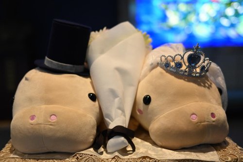 Embed Feed Embed Feed