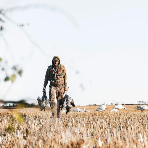 Photo post from northernskiesoutfitters.