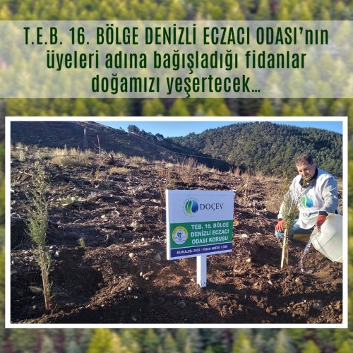 Photo post from dogavecevrevakfi.