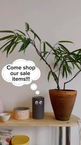 Video post from crane_living.