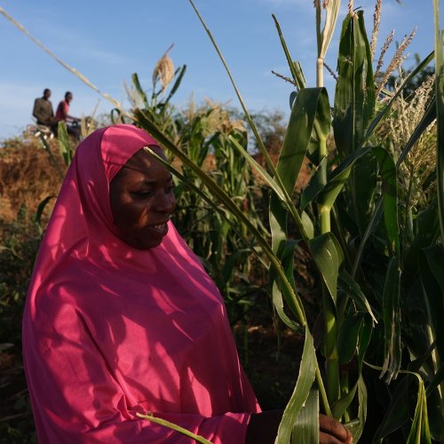 Photo post from unops_official.