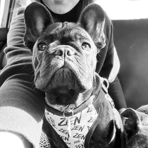 Photo post from furrypeeps.