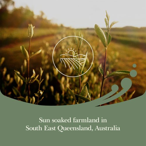 Carousel post from comvita_au.