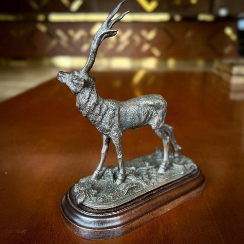 Photo post from padarunak.fond.