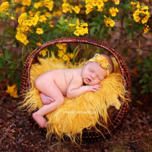 Photo post from abl_photography_sandiego.