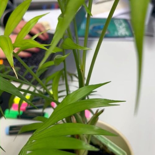 Video post from fptrobotics.