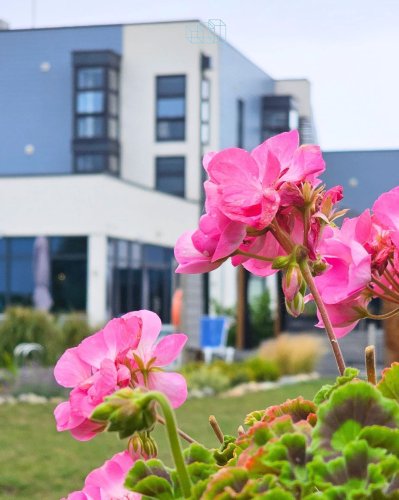 Photo post from glasshouseretreat.