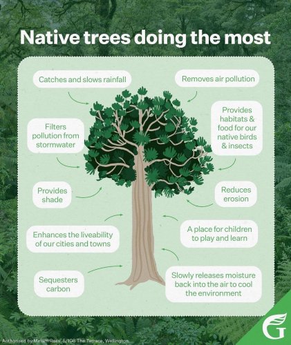 Photo post from nzgreenparty.