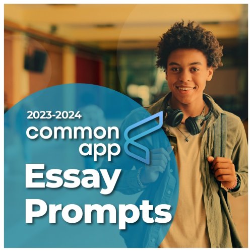 Carousel post from knovva_academy.