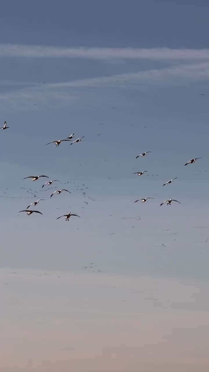 Video post from northernskiesoutfitters.