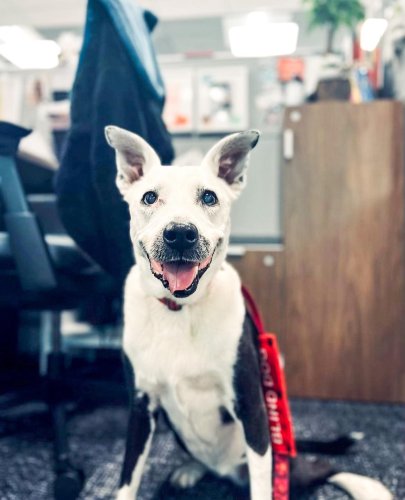 Carousel post from american_re_partners.