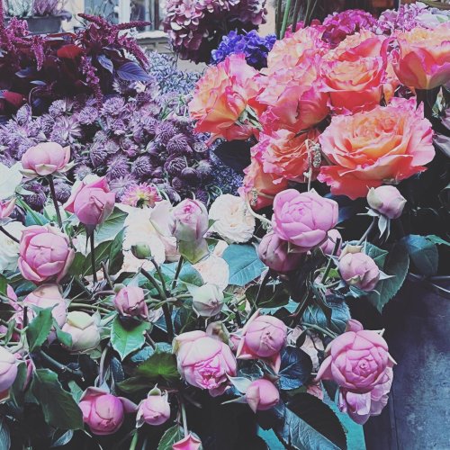 Photo post from camillaripani.