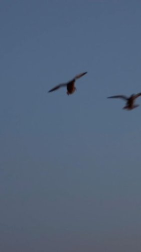 Video post from northernskiesoutfitters.