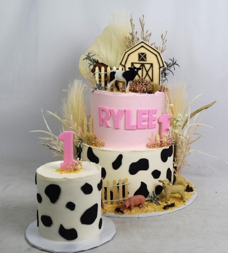 Photo post from marquettescakestudio.