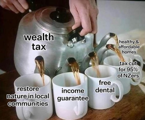 Photo post from nzgreenparty.