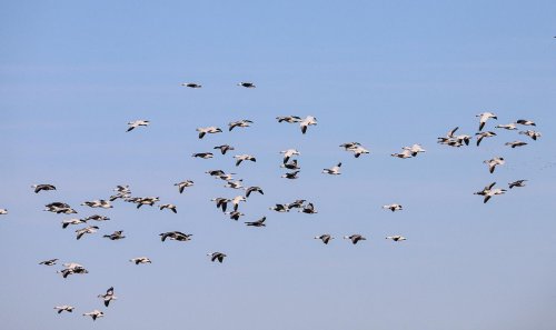 Photo post from northernskiesoutfitters.