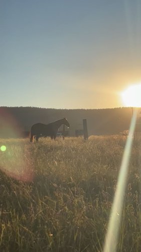 Video post from __amber_lydic__.