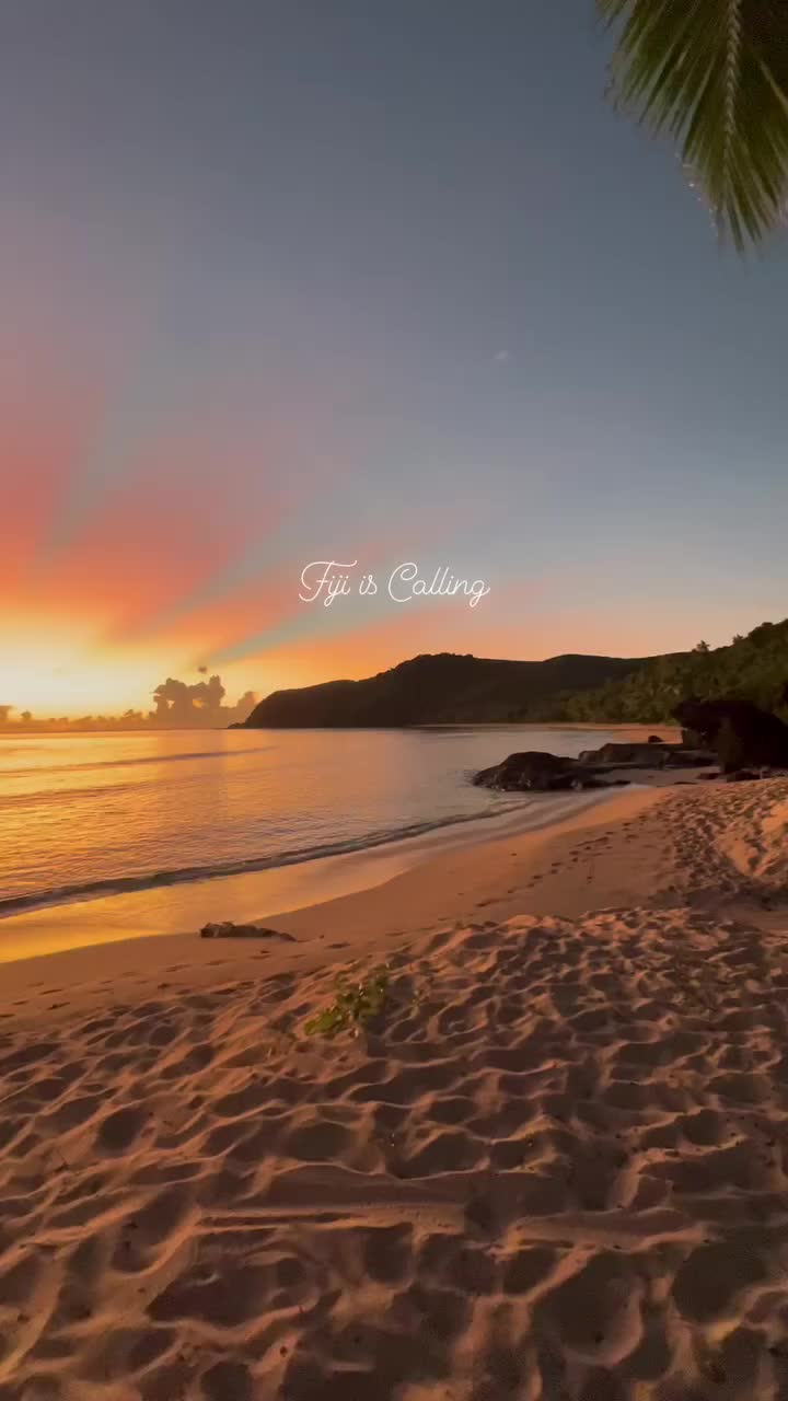 Video post from octopusresort.