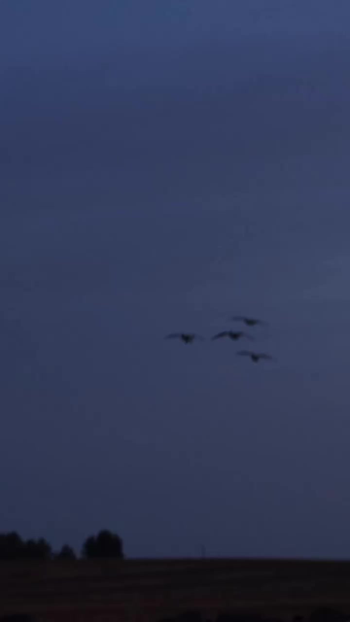 Video post from northernskiesoutfitters.