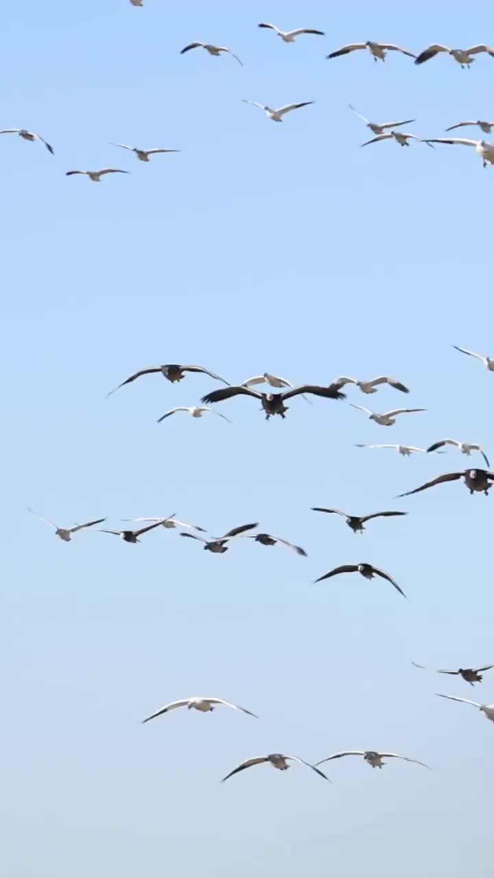 Video post from northernskiesoutfitters.