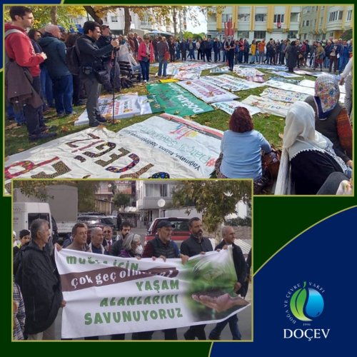 Photo post from dogavecevrevakfi.