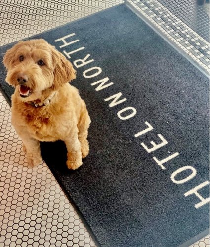 Photo post from hotelonnorth.