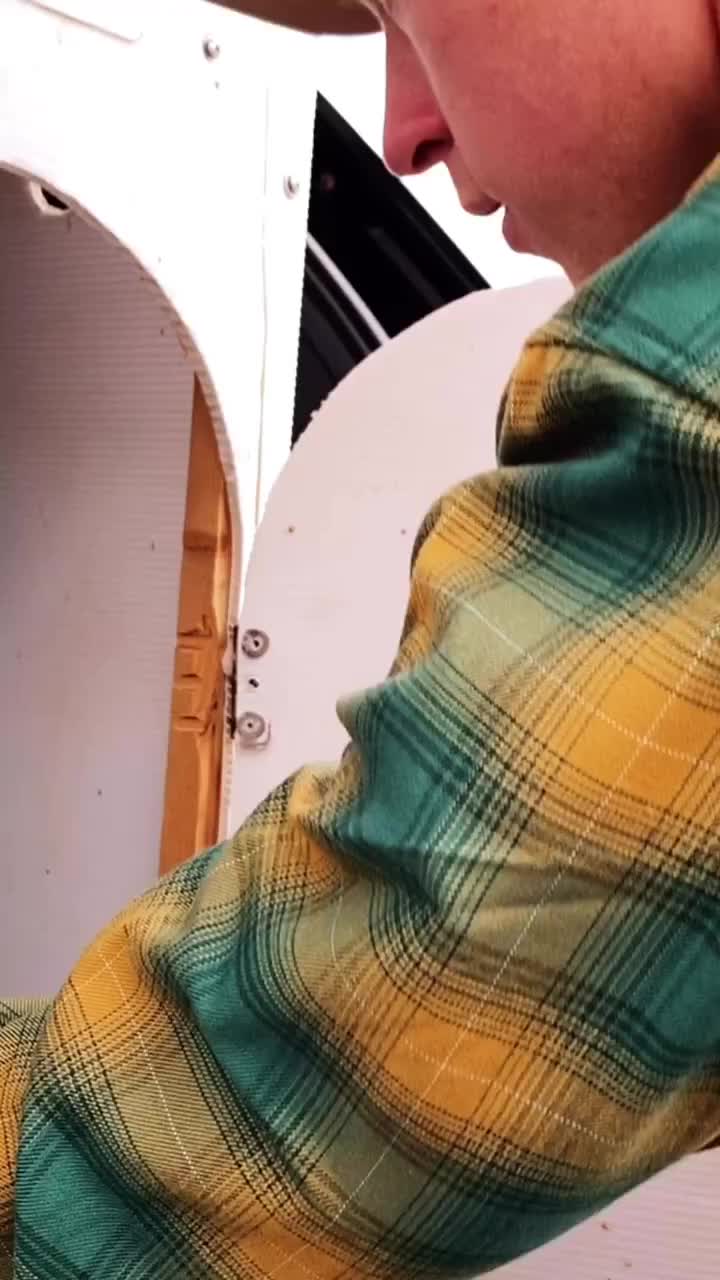 Video post from desertkingsfalconry.