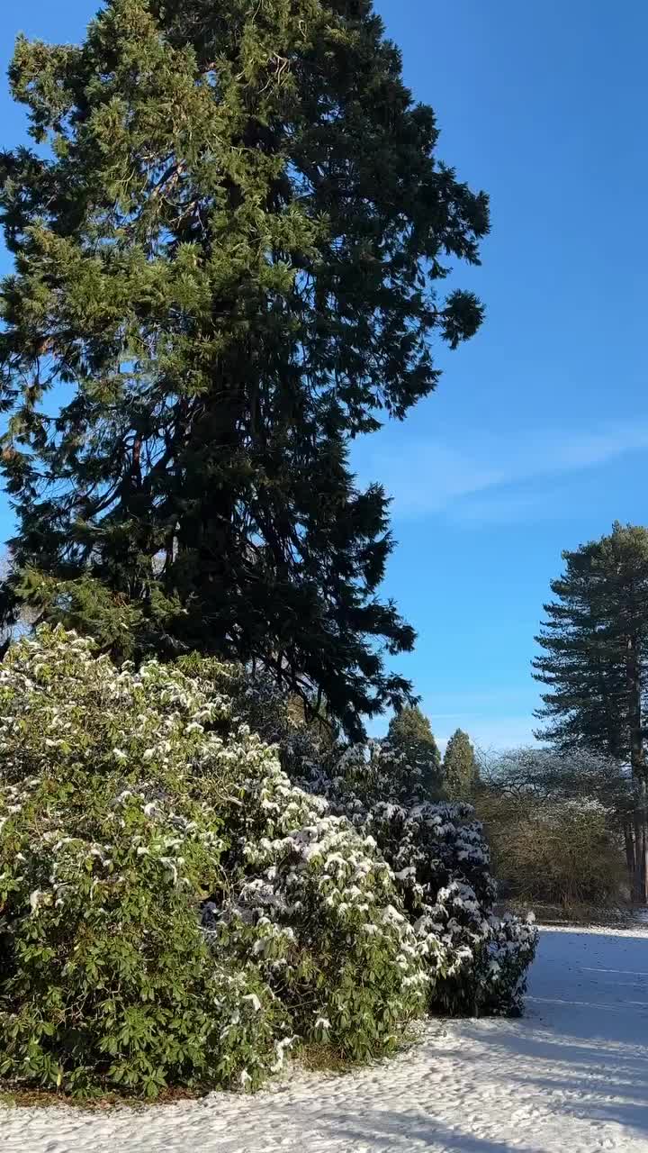 Video post from saltfilm_locations.