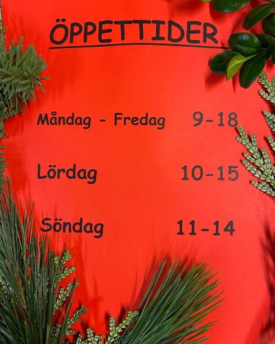 Photo post from blomsterborsen.