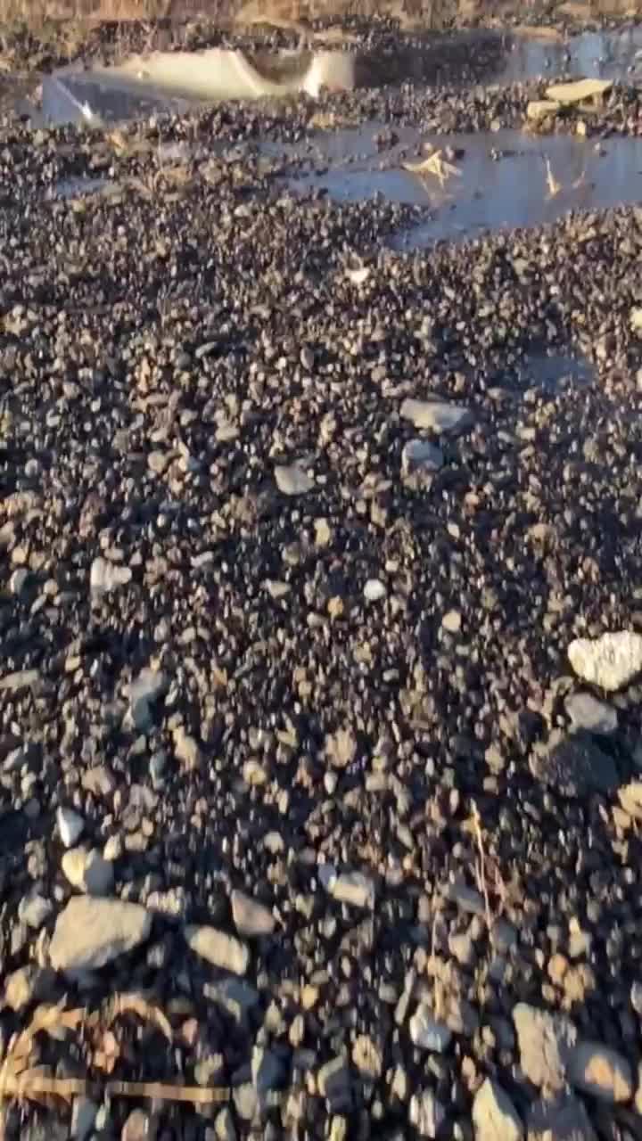 Video post from porschewarrington.