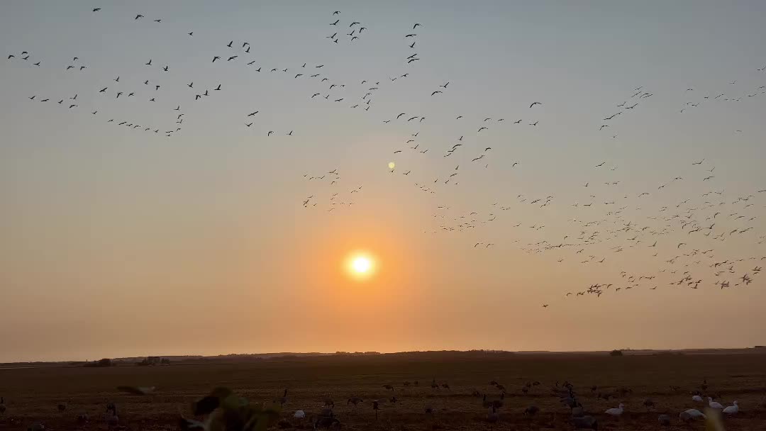 Video post from northernskiesoutfitters.