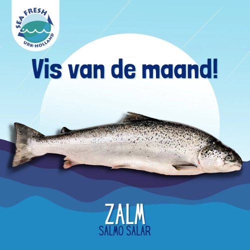 Photo post from seafreshurk.