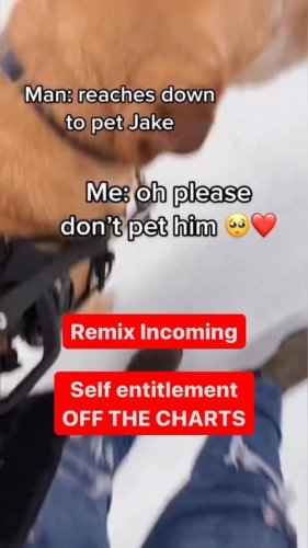 Video post from southenddogtraining.