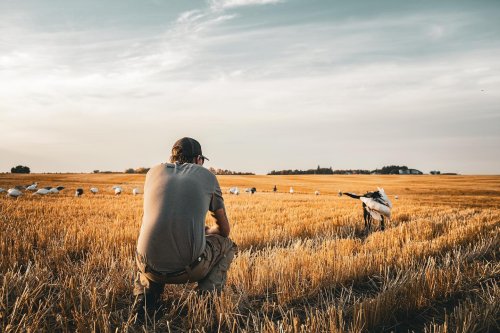 Photo post from northernskiesoutfitters.