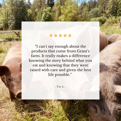 Photo post from hungryhollowfarm.