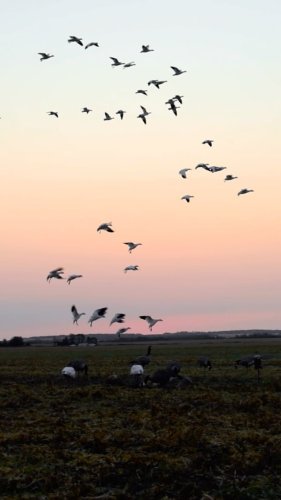 Video post from northernskiesoutfitters.