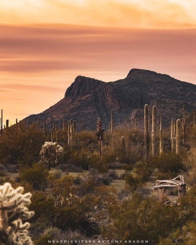 Photo post from visittucson.